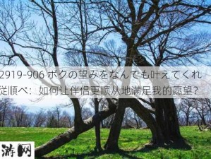 042919-906 ボクの望みをなんでも叶えてくれる従順ペ：如何让伴侣更顺从地满足我的愿望？