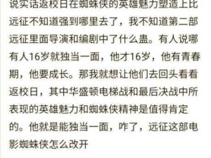 剑与远征深度解析，二王巴登打法技巧与技能揭秘