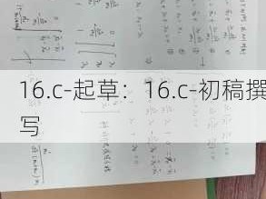 16.c-起草：16.c-初稿撰写