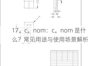 17。c。nom：c。nom 是什么？常见用途与使用场景解析