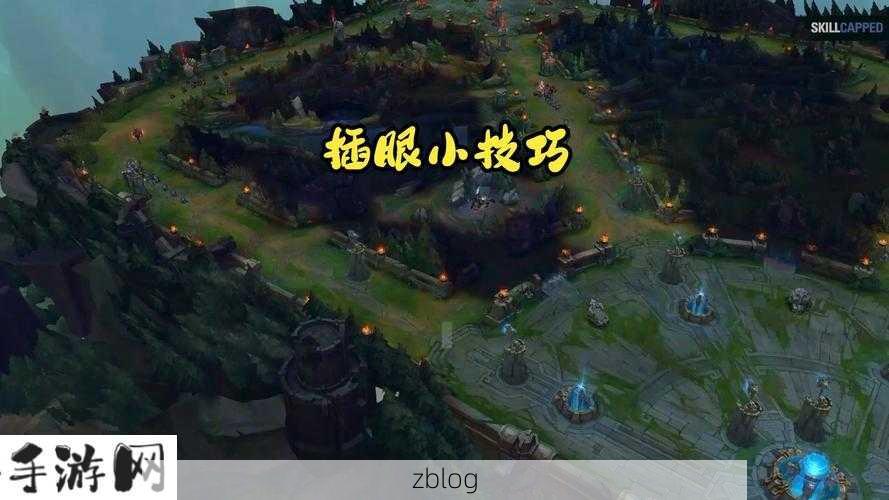 LOL插眼什么意思，资源管理、技巧、避免浪费与最大化价值