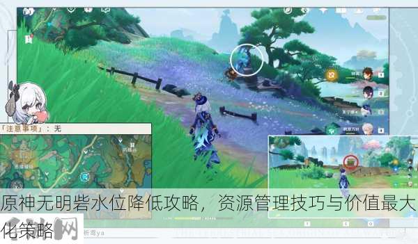 原神无明砦水位怎么降低，资源管理、技巧与最大化价值