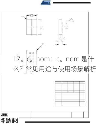 17。c。nom：c。nom 是什么？常见用途与使用场景解析