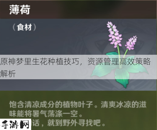 原神梦里生花怎么种花在资源管理中的重要性及高效策略