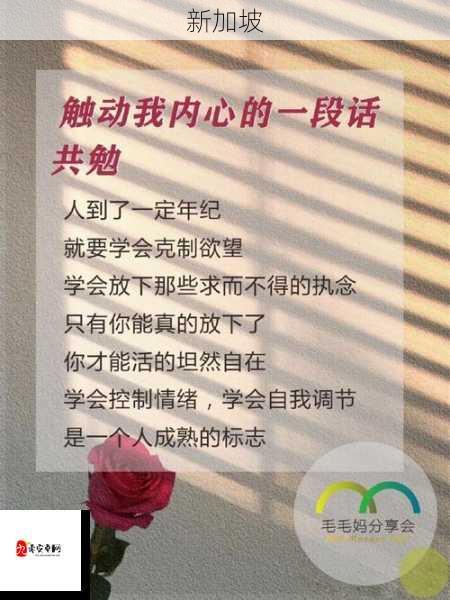 高下起伏间，快慢流转如何把握生活节奏？