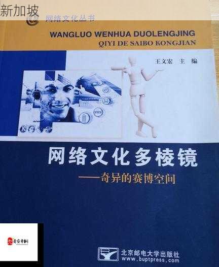 芳草萋萋8521如何反映当代网络文化的特点？